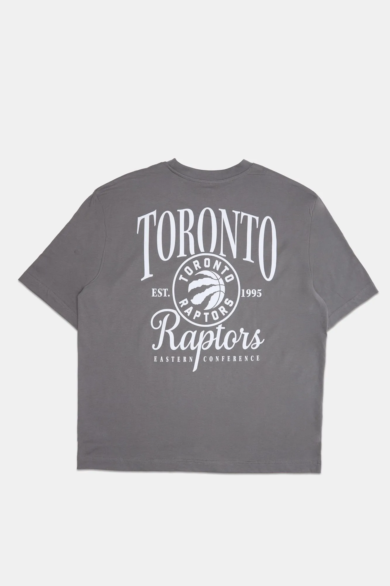 Mens Toronto Raptors Embroidered Graphic T-Shirt
